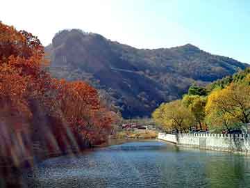 新澳天天开奖资料大全旅游团，非你莫属 文颐